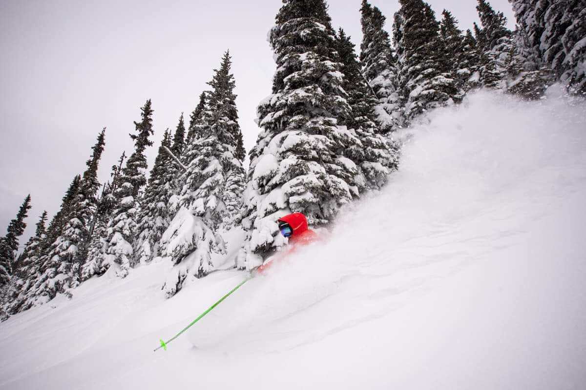 Alta UT | Women's Steep Skiing Clinic March 11-12, 2024