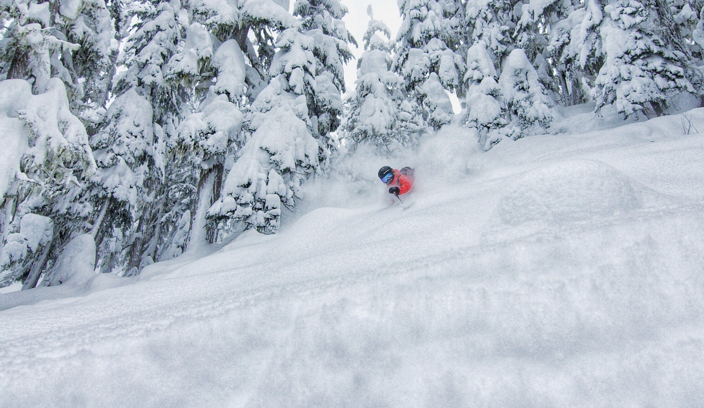 Rippin Chix | Women's Ski Camps